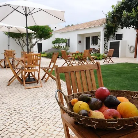 Lost & Found - & アルブフェイラ