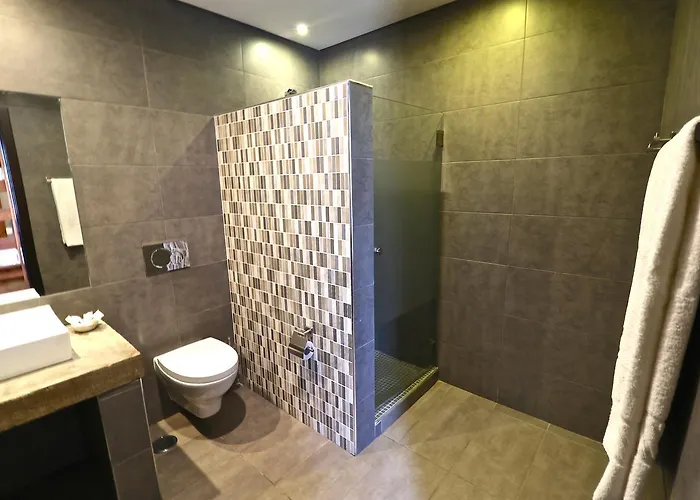 Lost & Found - & Pensión